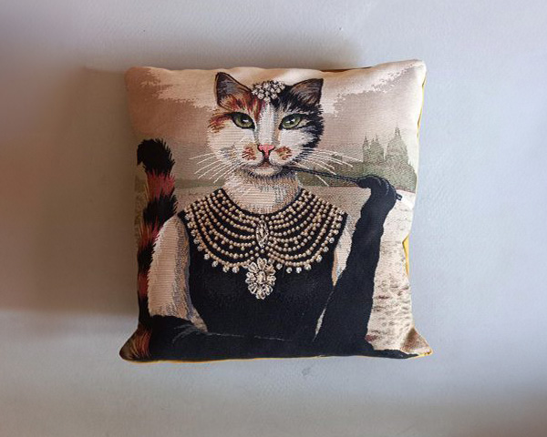 Kussen, Poes