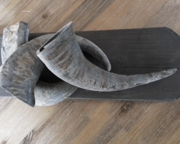 Ramshoorn